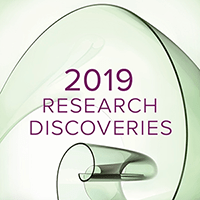 An image for the 2019 Research Annual Report.